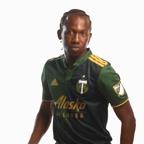 Portland Timbers Mls GIF by Timbers
