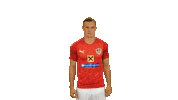 Team Austria Sticker by ÖFB