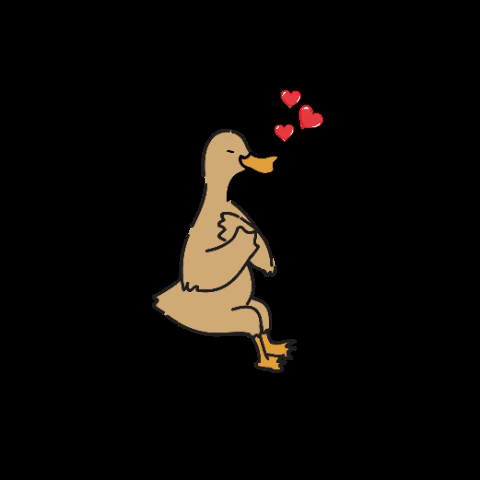 BebekBKB giphygifmaker giphyattribution love duck GIF