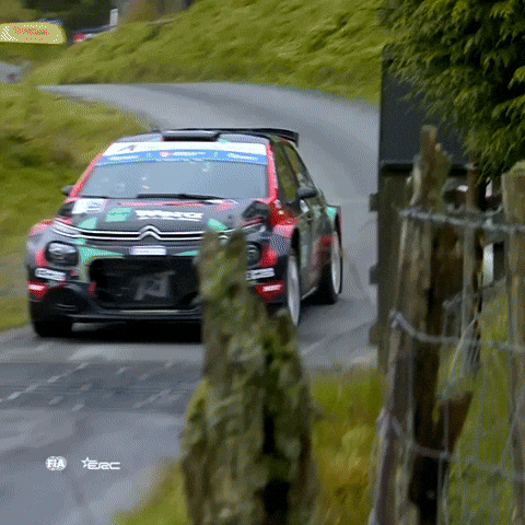 Erc GIF by FIA European Rally Championship