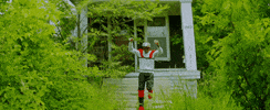 music video GIF