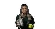 Under Armour Softball Sticker by Hawaii Athletics