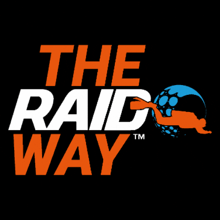 Raid GIF by DiveRAID