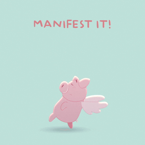 Flying Pig GIF by PositivelyPigasus