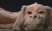 day story GIF