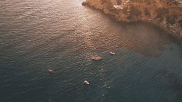 video editing top fonts 2019 GIF by Typito