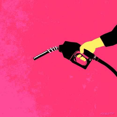 Animation Domination Fox GIF by gifnews