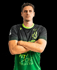 rimparerhandballer handball wolfe rimpar GIF