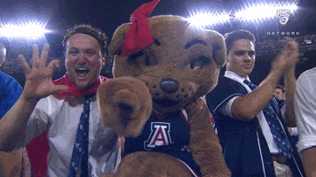 Arizona Wildcats Football GIF by Pac-12 Network