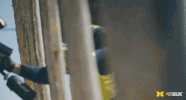 Excited Michigan Football GIF by Michigan Athletics