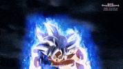 Super Dragon Ball Heroes Mui Goku GIF