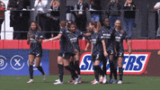 Lets Go Celebration GIF by National Women's Soccer League