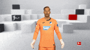 Tsg Hoffenheim Football GIF by Bundesliga