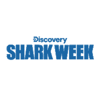 Logo Discovery Sticker by Shark Week