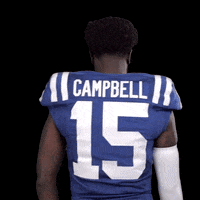 Turn Around Football GIF by NFL