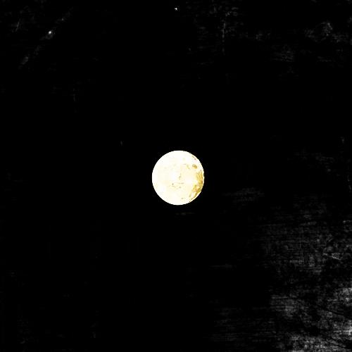 moon GIF by hoppip