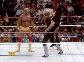 hulk hogan GIF by WWE