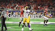 Ncaa Football GIF by LSU Tigers