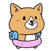 dog swimming Sticker by Aminal Stickers