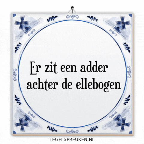 Humor Nl GIF by Tegelspreuken.nl