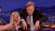 conan obrien armadillo GIF by Team Coco