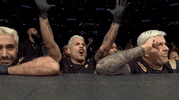 Mixed Martial Arts Fighting GIF by UFC