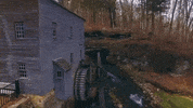 indiana GIF