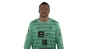 Handball-Bundesliga Sport Sticker by LIQUI MOLY HBL