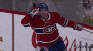 Happy Ice Hockey GIF by NHL