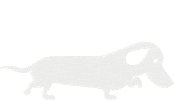 Wiener Dog Sticker by Bold by Nature