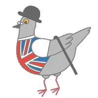 tomokonagata bird london hat uk Sticker