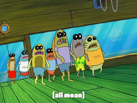 season 8 GIF by SpongeBob SquarePants