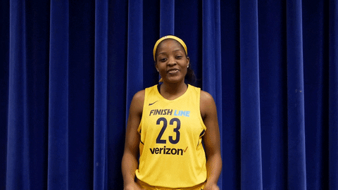 basketball sport GIF by Indiana Fever
