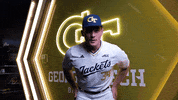 Georgia Tech Baseball GIF by Georgia Tech Yellow Jackets