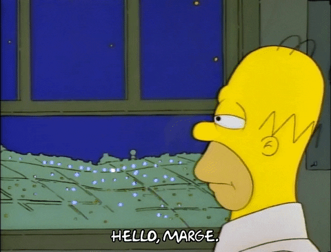 Season 1 Episode 10 GIF by The Simpsons