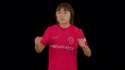 Lets Go Hype GIF by National Women's Soccer League