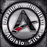 SilvaBJJ fight gym ufc mma GIF