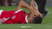 Lying Sl Benfica GIF by Sport Lisboa e Benfica