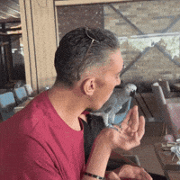 World Record Wow GIF