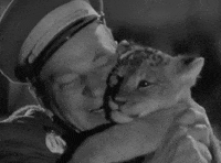 classic film oshaughnessys boy GIF by Warner Archive