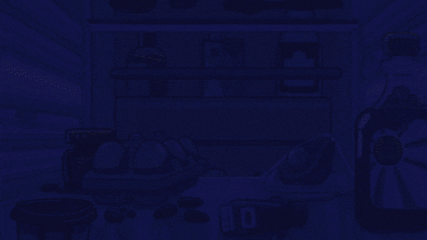 fridge