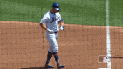 Ny Mets Reaction GIF by New York Mets