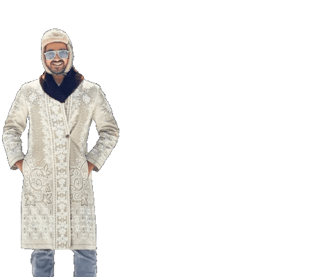 Bitcoin Sticker by Evan Luthra