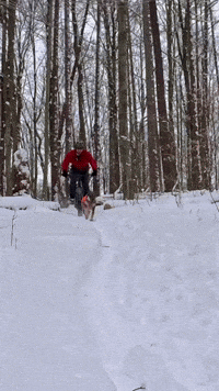 Snow Mtb GIF by PureADK