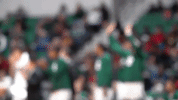 emueagles goeagles GIF by EMU Athletics