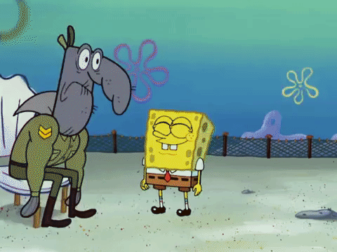 season 4 krusty towers GIF by SpongeBob SquarePants