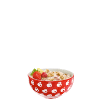 Muesli Sticker by biofamilia