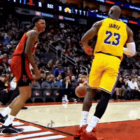 Lebron James Nba GIF