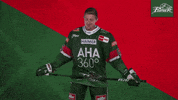 Del No GIF by Augsburger Panther Eishockey GmbH
