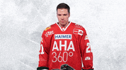 Hockey Del GIF by Augsburger Panther Eishockey GmbH